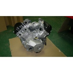Двигатель с искровым зажиганием 800 см3(GK2V91MW-2),  в сборе, 100000-800-0001